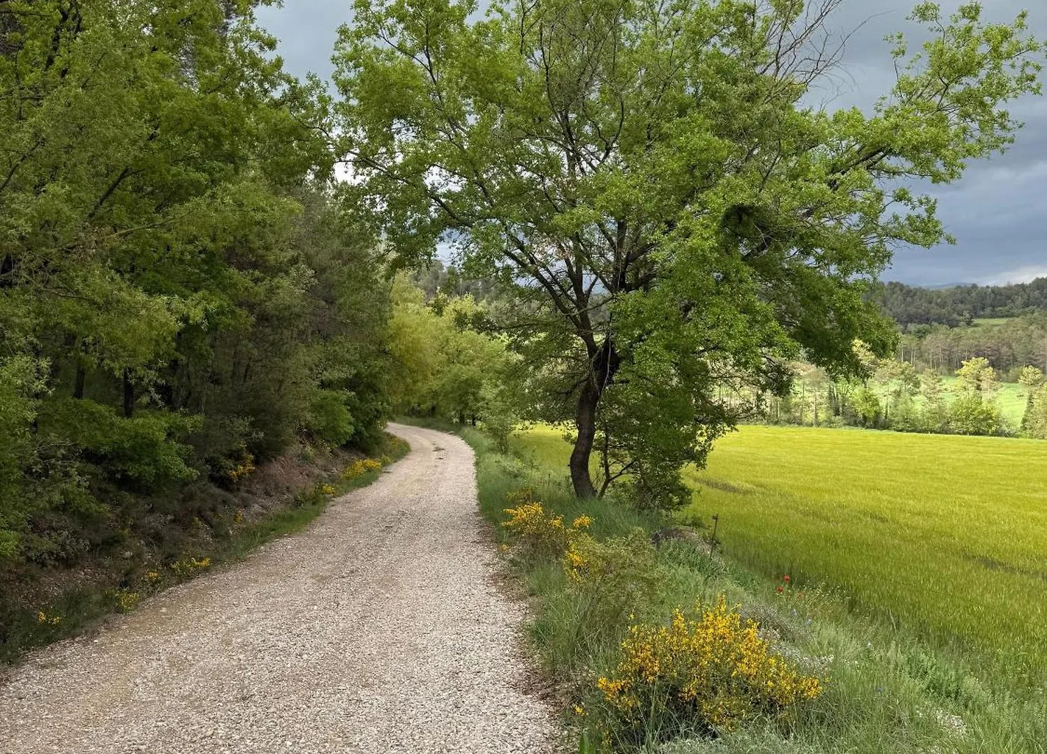 Lantställe Sant Grau I Pensionat Navés